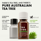 Organic Tea Tree Oil - Eclat