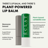 Nourishing Lip Balm - Eclat